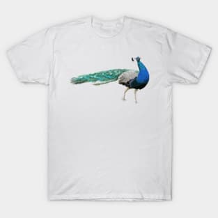 Peacock Digital Painting T-Shirt